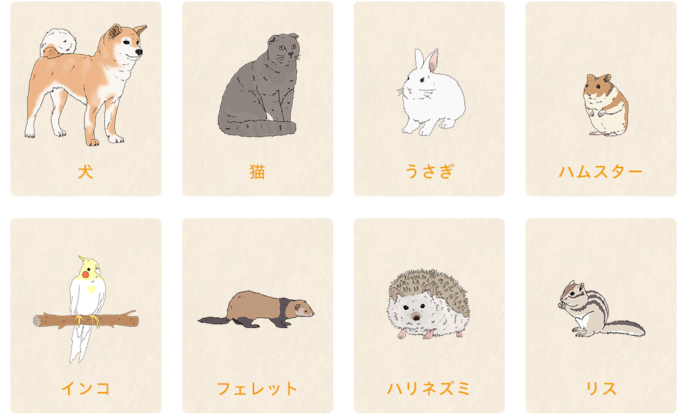 火葬可能な動物の一覧