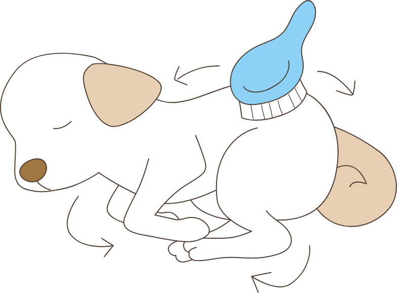 臨終後、安らかな姿で安置してください